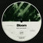 Cover Bloom