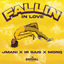 Cover Fallin in Love