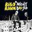 Cover Nightbird