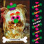 Cover PATAMI