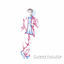 Cover Clowns & Helden (Live)