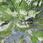Cover Strange Meridians