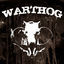 Cover Warthog
