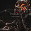 Cover Polaris