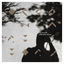 Cover In Metaphor, Solace