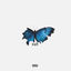 Cover SAD