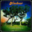 Cover Cicada Sessions