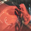 Cover MONEY ON THE DASH (Marlon Hoffstadt aka DJ Daddy Trance Remix)