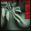 Cover creeping speedwells