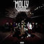 Cover Molly And Her Week Of Wonders
