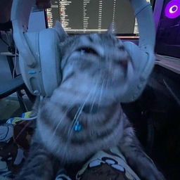 ''