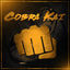 Cover Cobra Kai