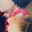 Cover 26