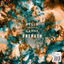 Cover Untruth
