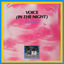 Cover Voice (In the Night)