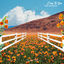 Cover Easy To Love
