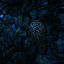 Cover Vexovoid