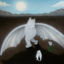 Cover Fliegen