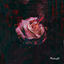 Cover Midnight