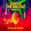 Cover Sonora Matancera Homenaje