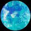 Cover Blue Level