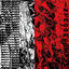 Cover INSVVA005