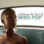 Cover Celebrate The Best Of Afro Pop