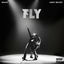 Cover FLY