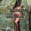 Cover Noesis