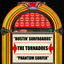 Cover Bustin' Surfboards / Phantom Surfer