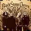 Cover Black Stone Cherry (Special Edition)
