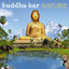Cover Buddha Bar Nature