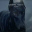 Cover Frozen