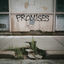 Cover Promises