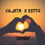 Cover Zemer