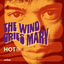 Cover The Wind Cries Mary
