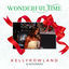 Cover Wonderful Time