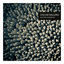 Cover Electric Shades EP