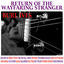 Cover Return of the Wayfaring Stranger