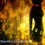 Cover Beautiful Saxophone
