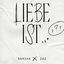 Cover Liebe ist...