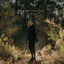 Cover Lumino Forest