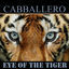 Cover Eye of the Tiger