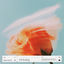 Cover oh feeling
