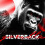 Cover Silverback Gorilla