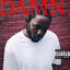 Cover DAMN.