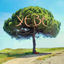 Cover Solide