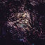Cover Unfold the God Man