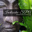 Cover Indische SPA Meditationsmusik: Schlaf-Musik