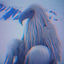 Cover Opium Bird